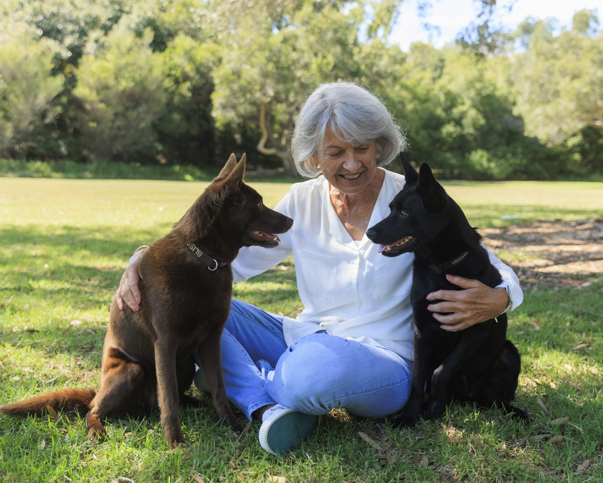 Pet Dog Trainers Australia | Robin Oliver - Pet Dog Training