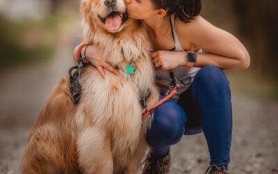 Are You Learning to Train a New Dog or a Puppy?