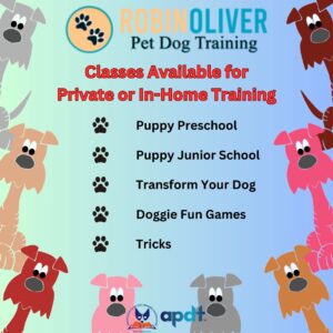 private or in-home dog training