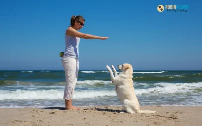 Is Using Hand Signals to Train Your Dog Helpful?