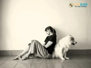 Is Your Dog or Puppy Stressing You Out featured image