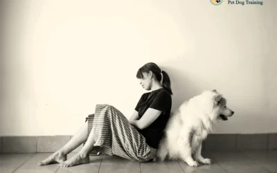 Is Your Dog or Puppy Stressing You Out?