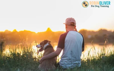 Why Teach People How to Bond with Their Dogs?