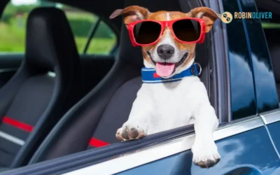 How to Help Your Dog Enjoy Car Rides