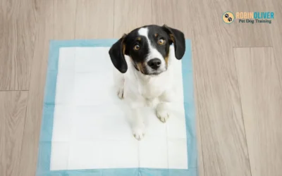 Should You Use Puppy Training Pads for Your Puppy?
