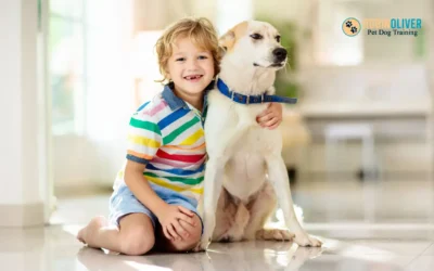 How to Help Your Dog Stay Calm When Someone Bends Over Them