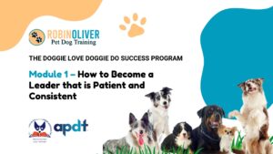 Module 1 – How to Become a Leader that is Patient and Consistent
